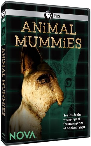 NOVA: Animal Mummies DVD