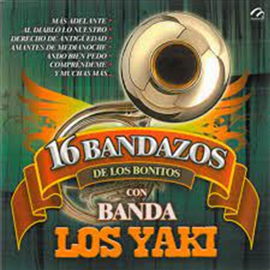 16 BANDAZOS BONITOS