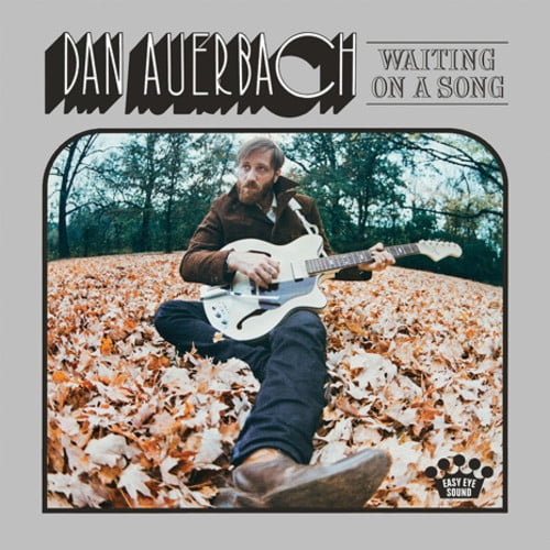 Waiting On A Song (Vinyl)
