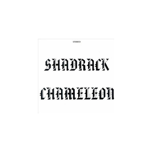 Shadrack Chameleon