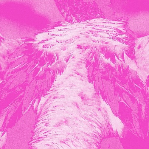 A field guide to phantasmic birds