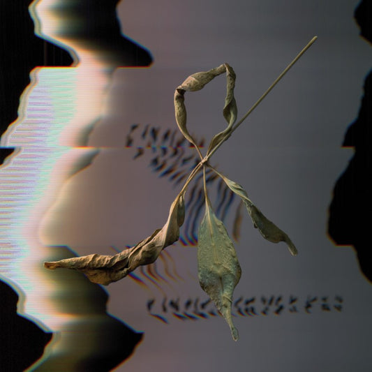 Trill Scan