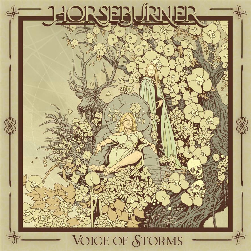 Voice Of Storms