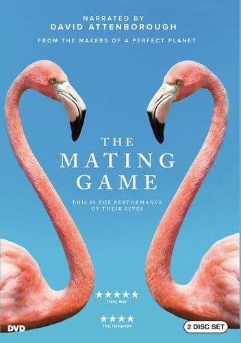 The Mating Game Yr 1