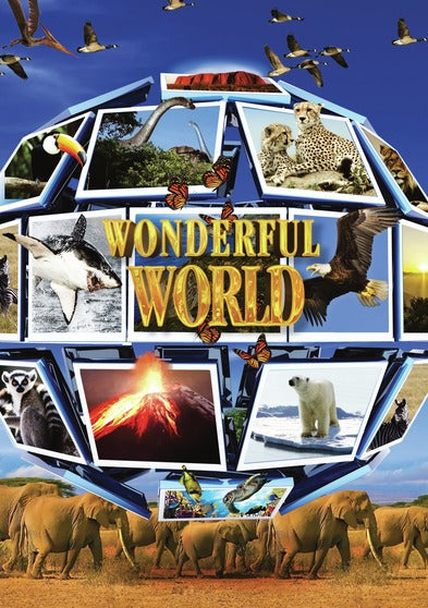 Wonderful World