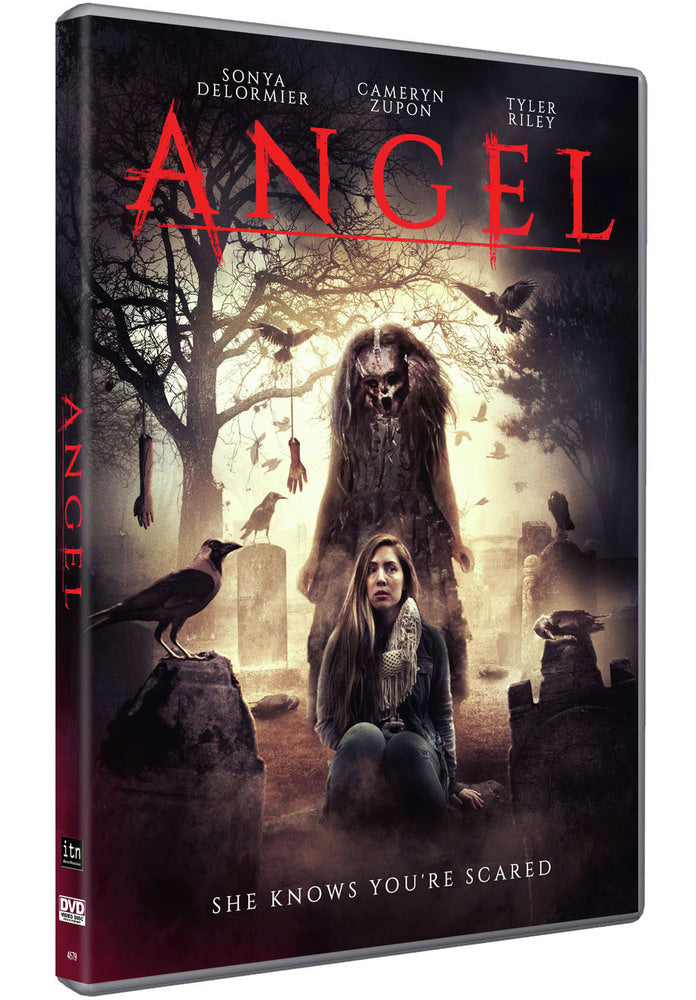 Angel [DVD]