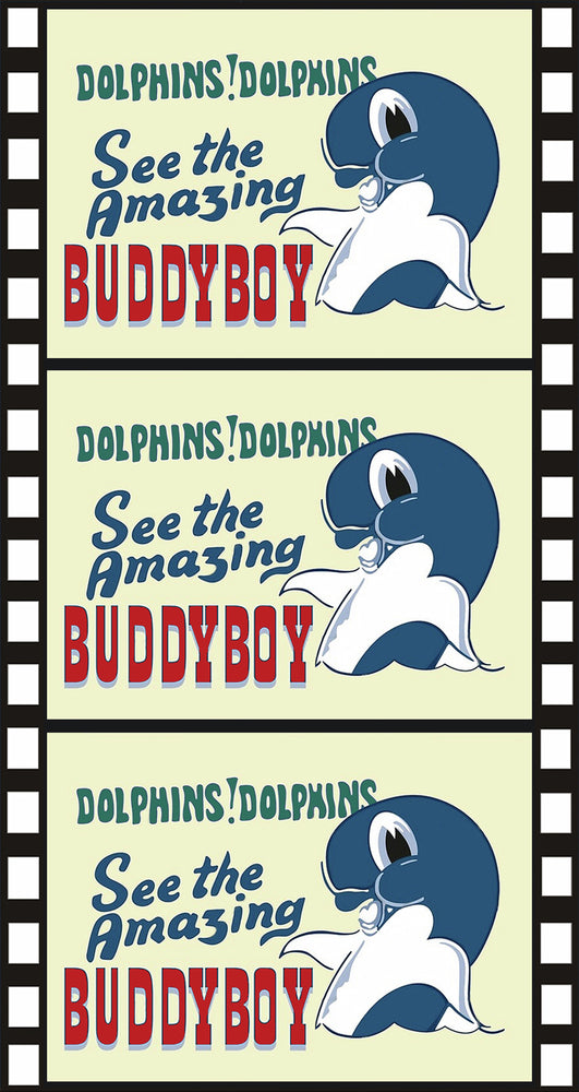 Buddyboy [DVD]