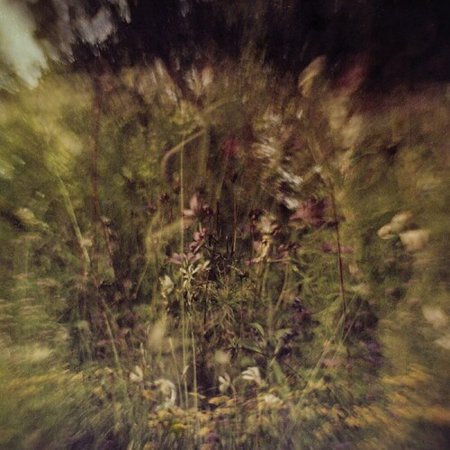 Wile B/w Remembered (purple)