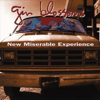 New Miserable Experience [LP]