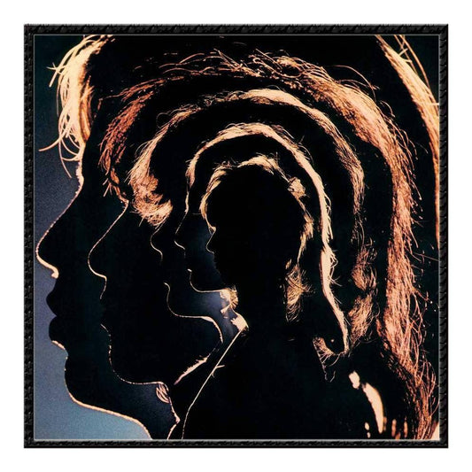 Hot Rocks, 1964-1971 [Vinyl]