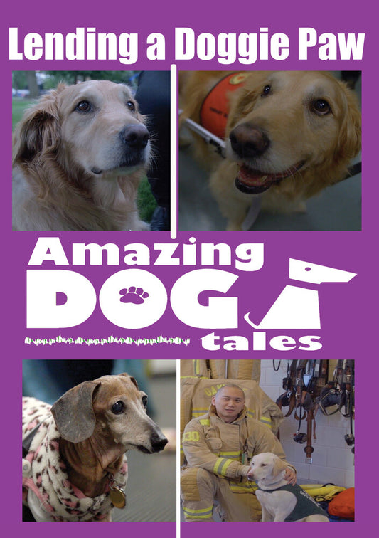 Amazing Dog Tales - Lending a Doggie Paw
