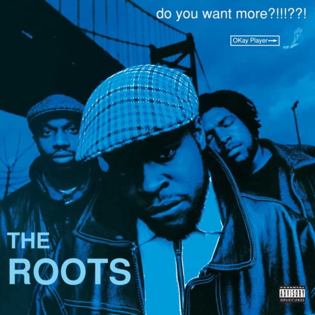 Do You Want More?!!!??! [2 LP]