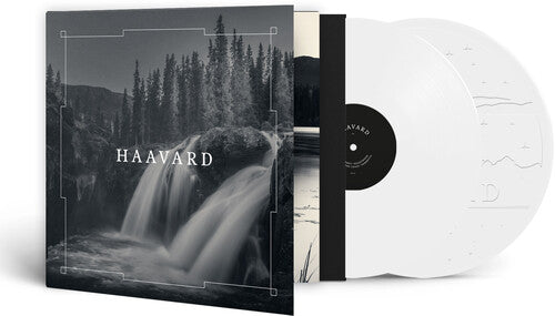 Haavard