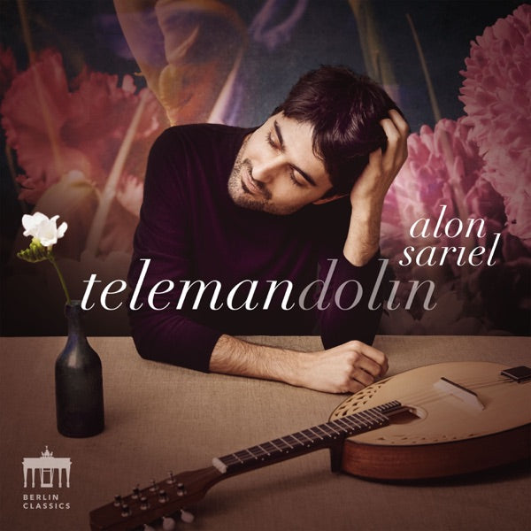 Telemandolin cover