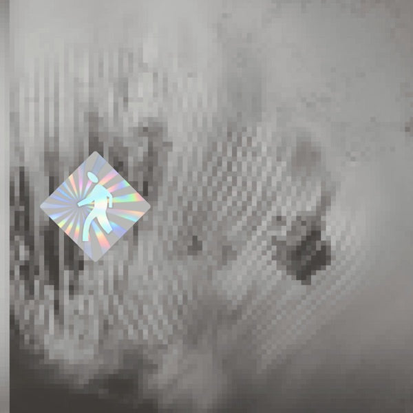 Quantum Web cover