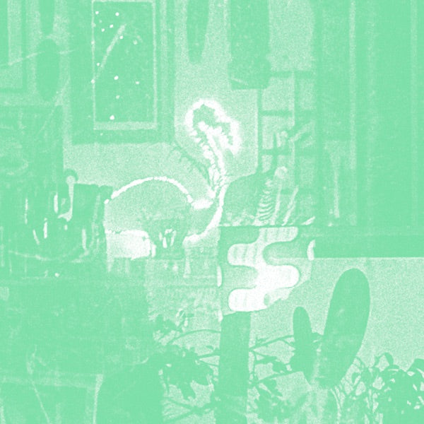Stochastic Parrot cover