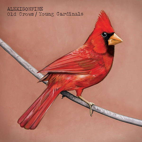 Old Crows / Young Cardinals cover