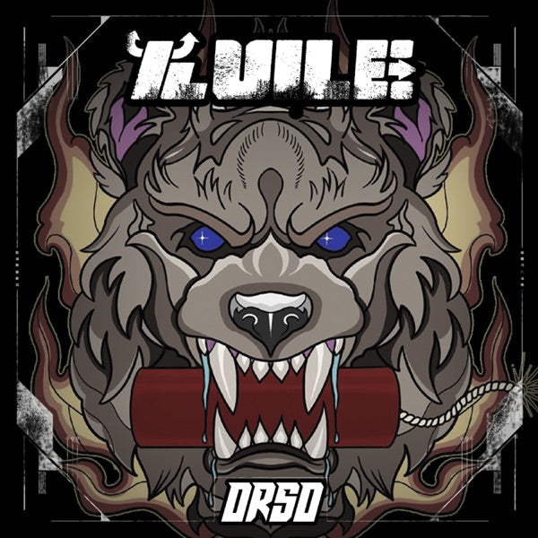 Il Vile cover