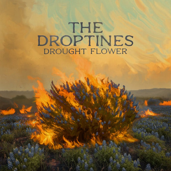 Drought Flower[LP] cover