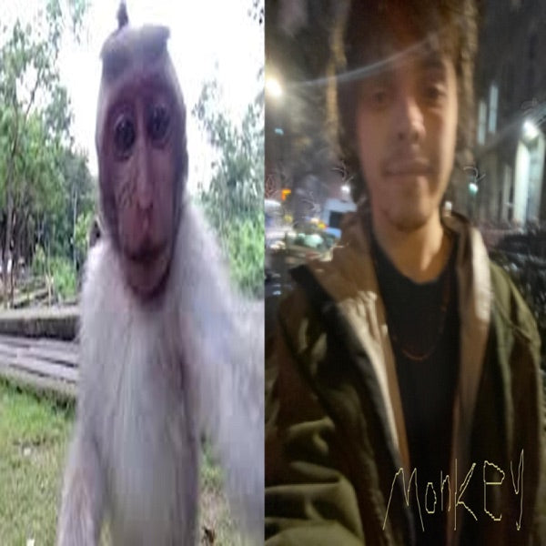 Monkey3 cover