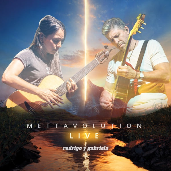 Mettavolution Live cover