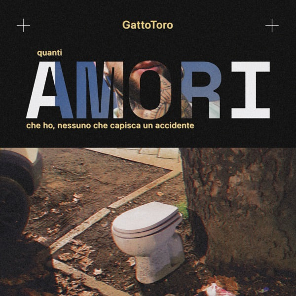 Quanti Amori Che Ho, Nessuno Che Capisca Un Accidente cover