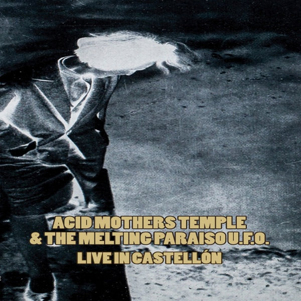 Born to Be Wild in the USA 2000 cover