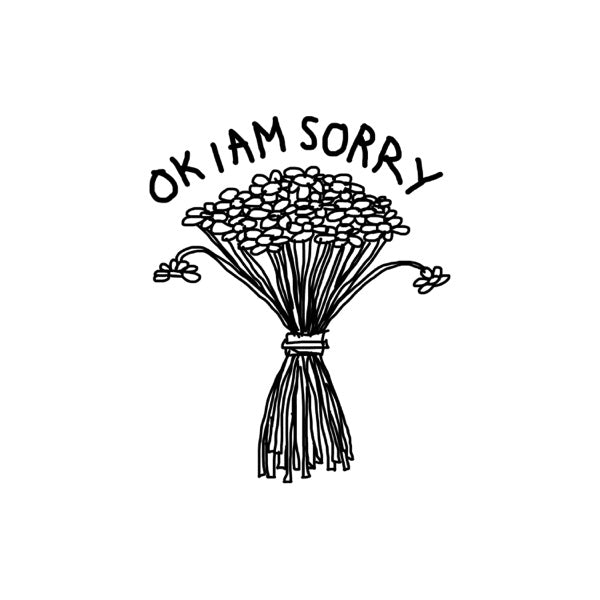 Ok I'm Sorry cover