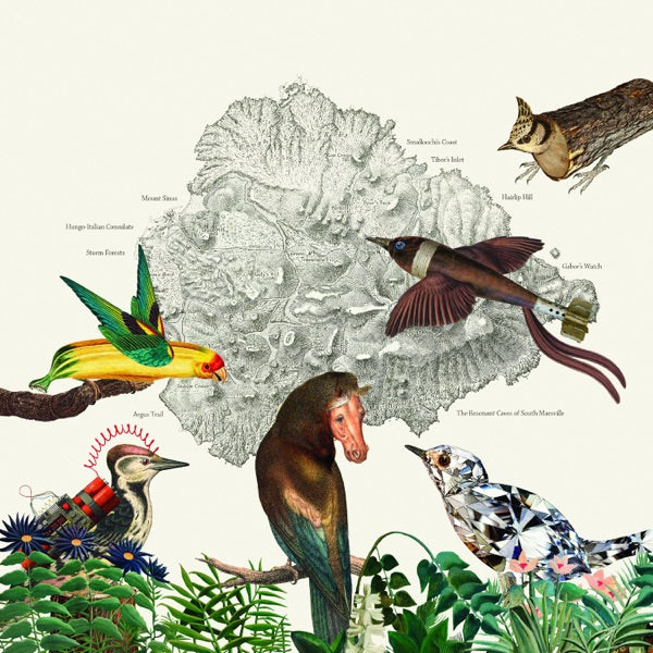 The Birds of Marsville cover