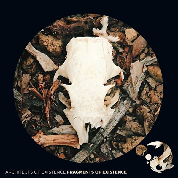 Fragments Of Existence cover