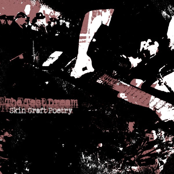 Skin Graft Poetry cover