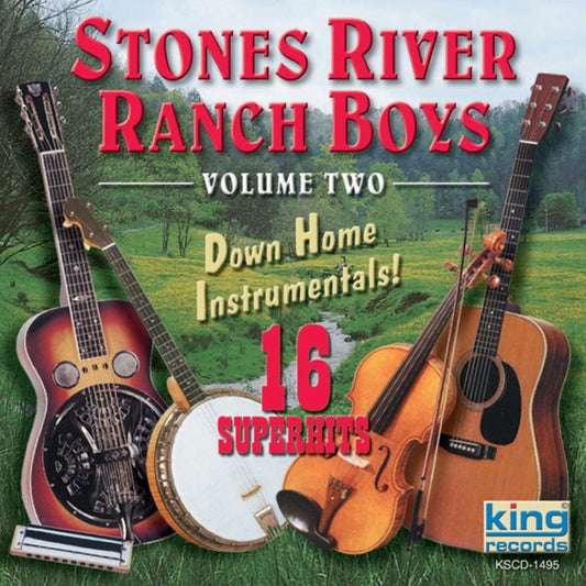 Down Home Instrumentals, Vol. 2 cover