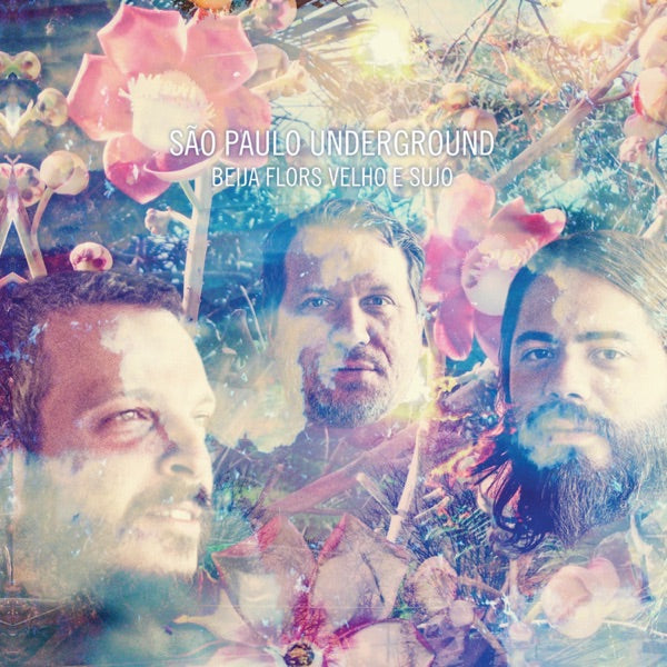 Beija Flors Velho E Sujo cover