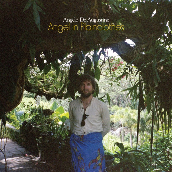 Angel in Plainclothes cover