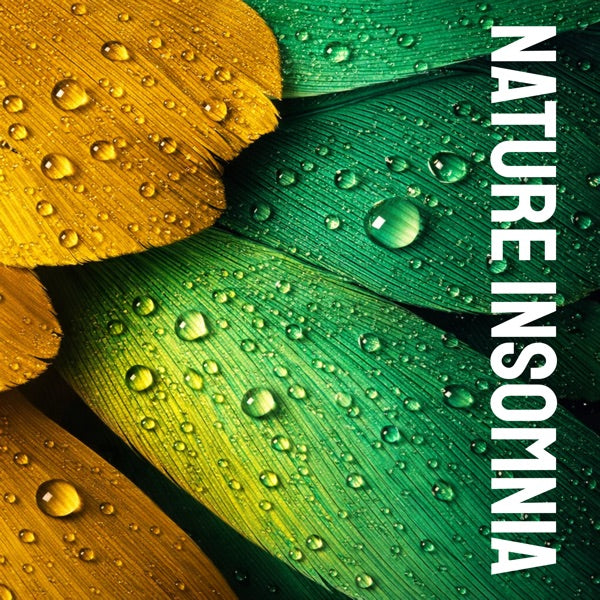 For Those Which Are Asleep (LP) cover