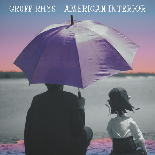 American Interior - Limited Purple, Apricot & Rose Colored Vinyl cover