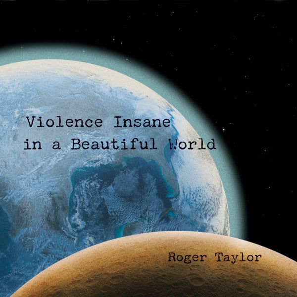 Violence Insane in a Beautiful World cover