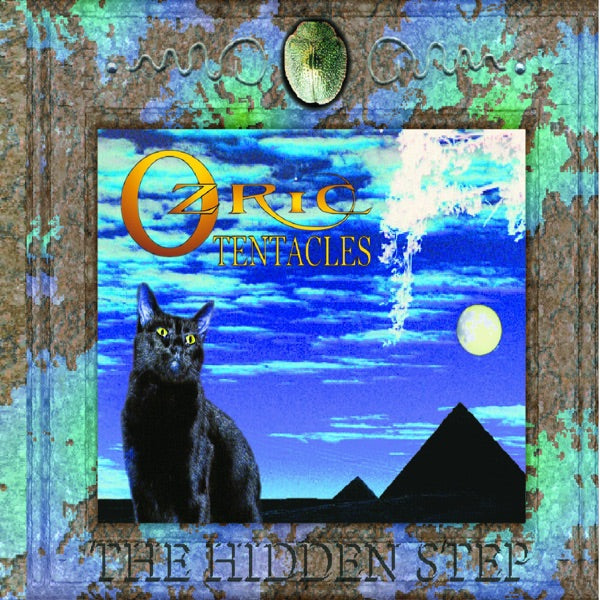 Hidden Step cover