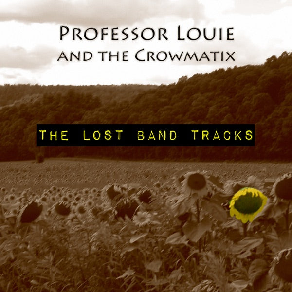 Lost Band Tracks cover