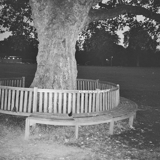 A New Place 2 Drown cover
