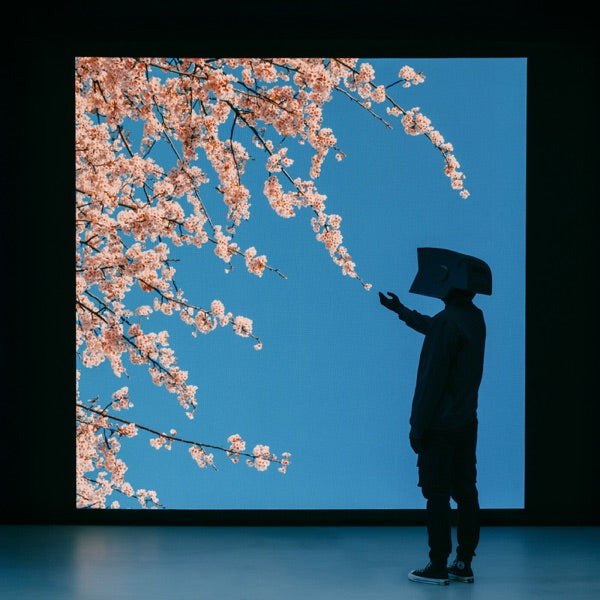 Modern Life Is Lonely cover