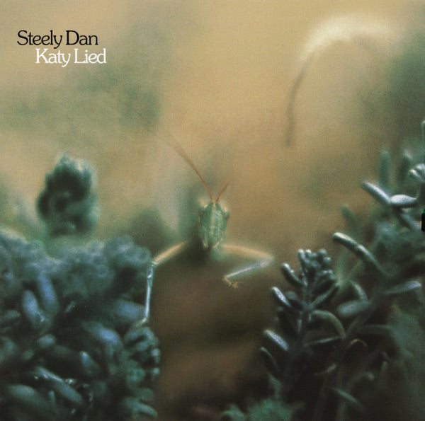 Katy Lied[LP] cover