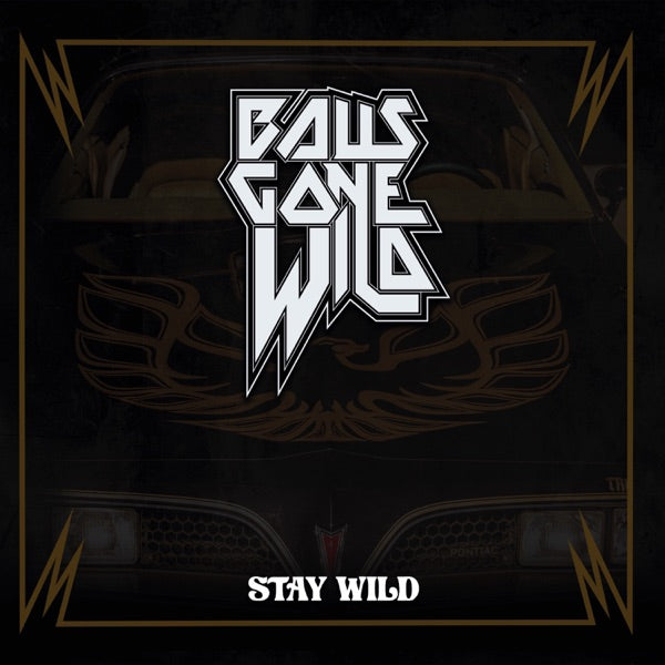 Stay Wild cover