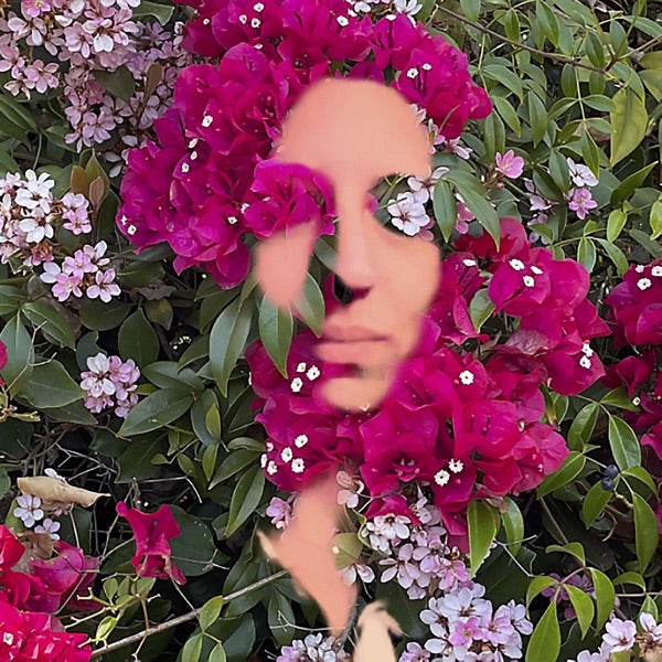 You Are the Flower Music from Hildegard von Bingen Vol. 1 cover