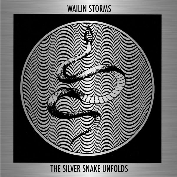 The Silver Snake Unfolds cover
