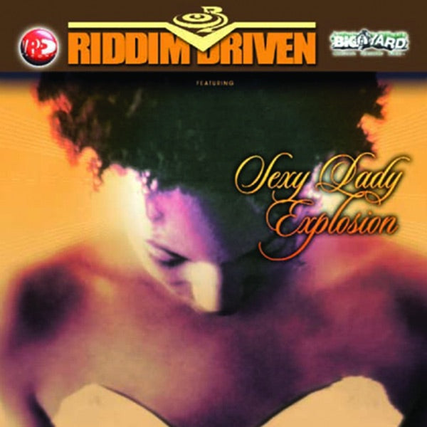 Reggae Xplosion the Remix cover