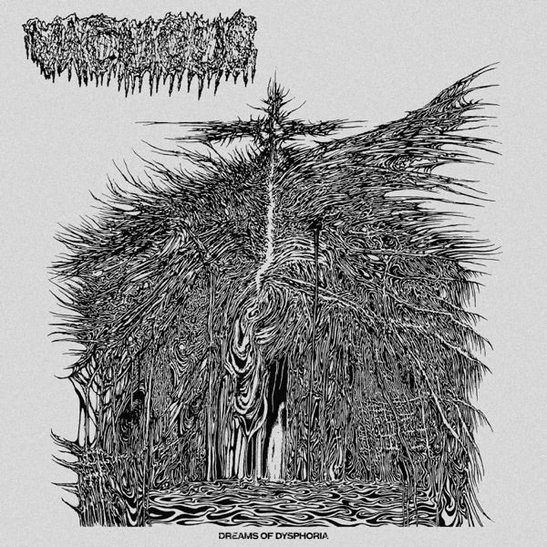 Dreams Of Dysphoria cover