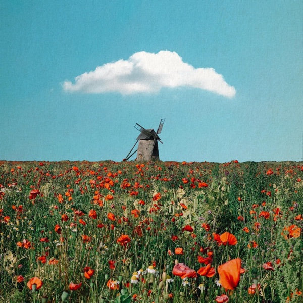 Fist & Palm (Cyan Vinyl) cover