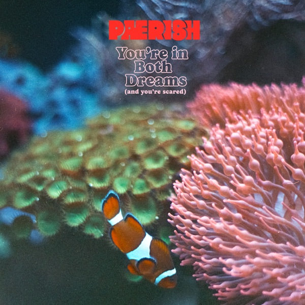 You're in both dreams (and you're scared) cover