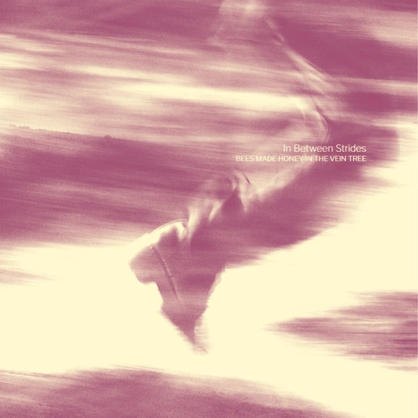 In Between Strides cover